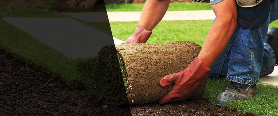 Mauricetown Landscapers